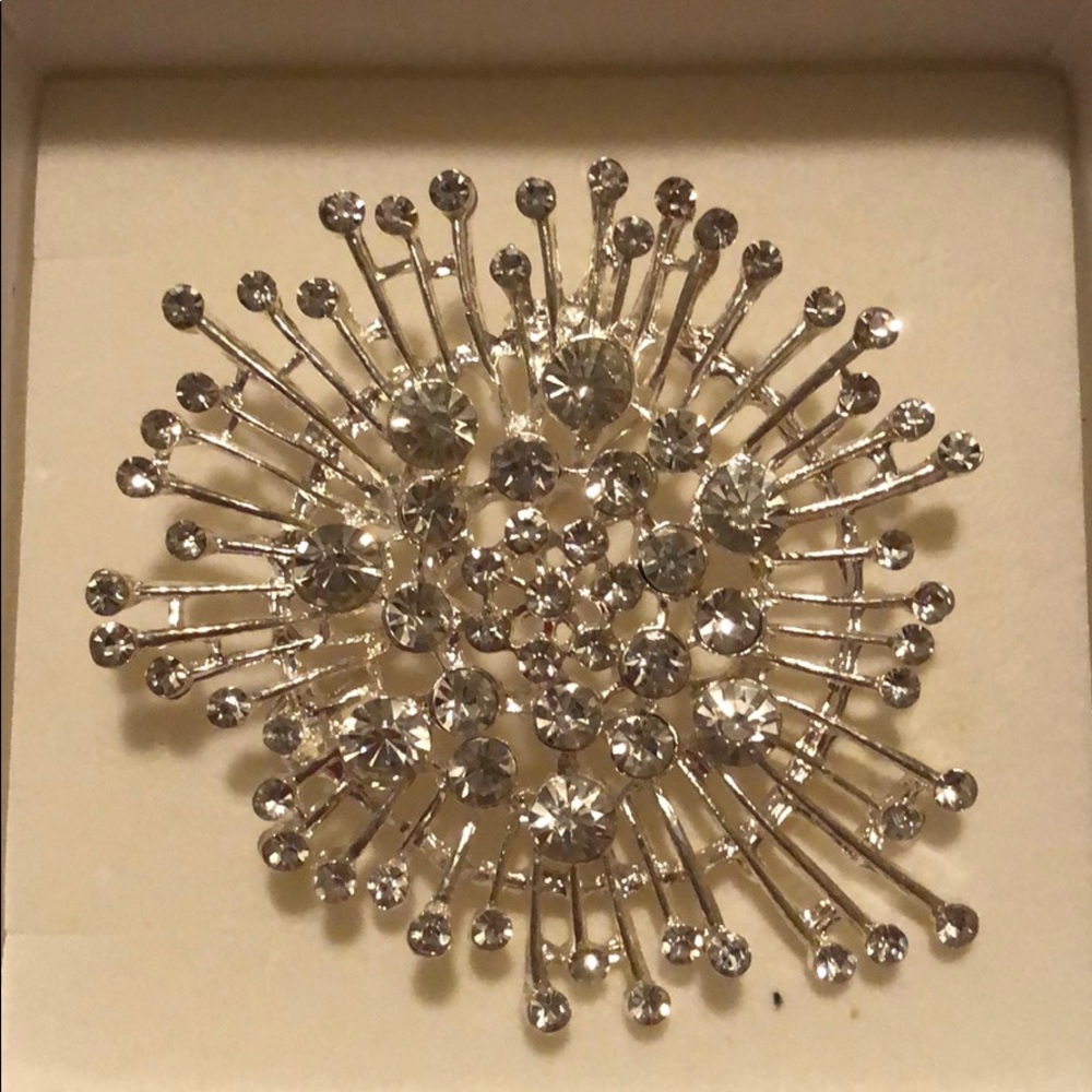 Beautiful Brooch